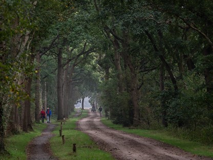 Reumavriendelijke Wandelroutes