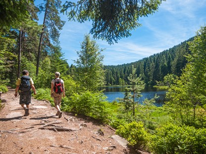 De Glaswaldsee in het Zwarte Woud