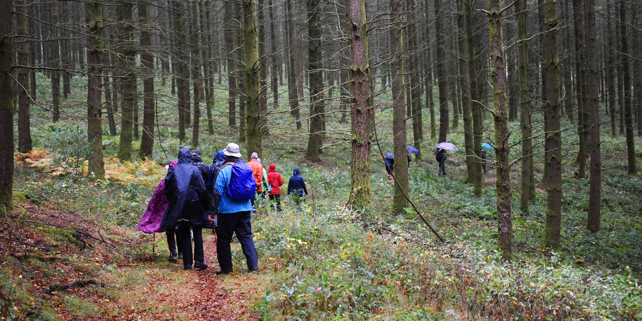 Groepswandeling door het bos in de Belgische Ardennen