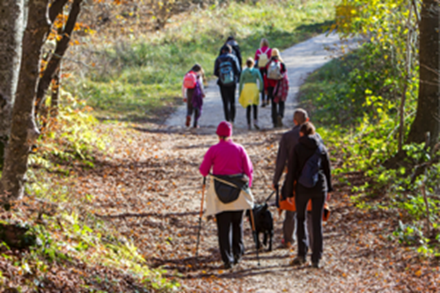 Wandelreizen Voor Singles