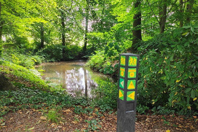 wandelknoppunten op een paal in het bos.