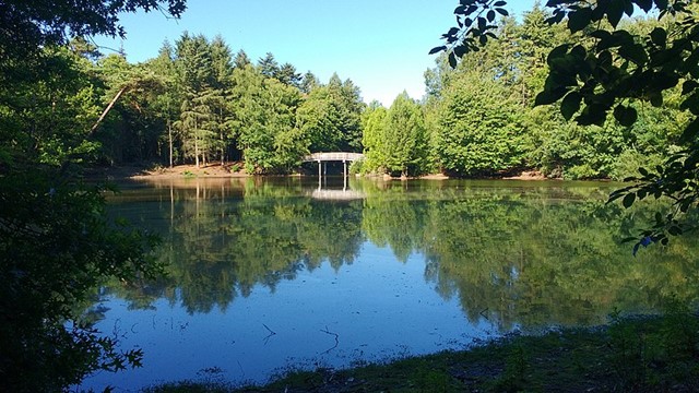 Het Wandelbos 