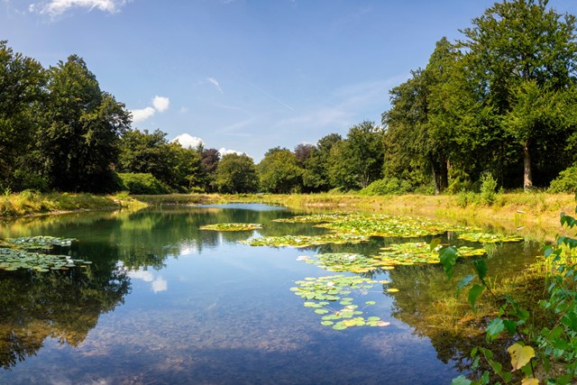 5x: micro avontuur met wandelroutes in Nederland landgoed de utrecht