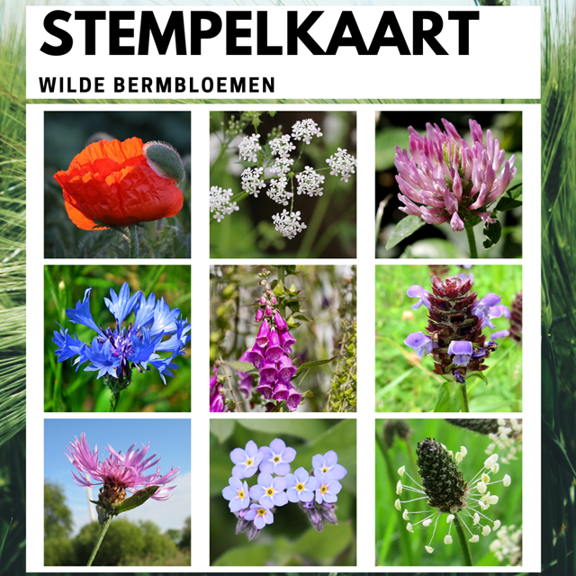 stempelkaart