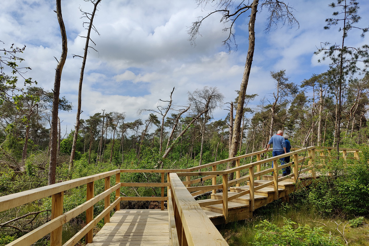 Wat zijn de wandeltrends; wandelen over Stormpad Leersum.