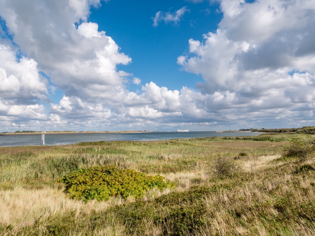 Natuurgebied de Mokbaai op Texel