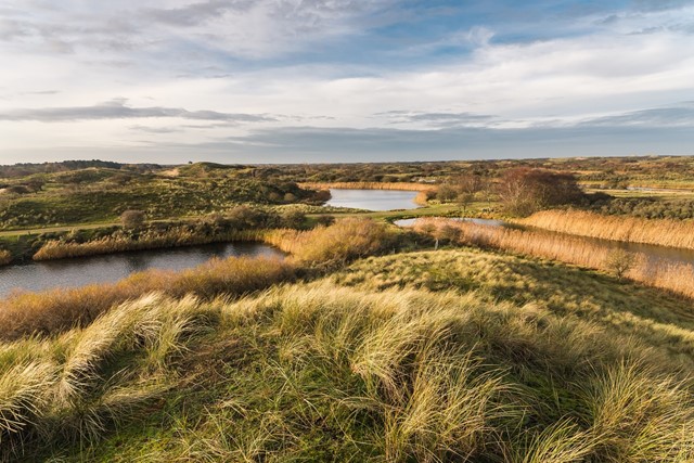Afbeelding Waterleidingduinen