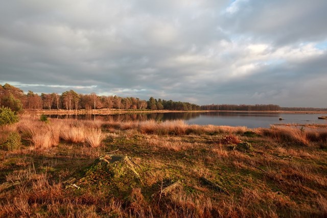 Wandelroute Dwingelderveld Familiepad Noordenveld