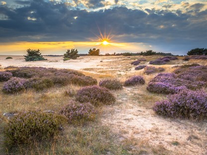 Wandelroutes Op De Veluwe 5 Tips