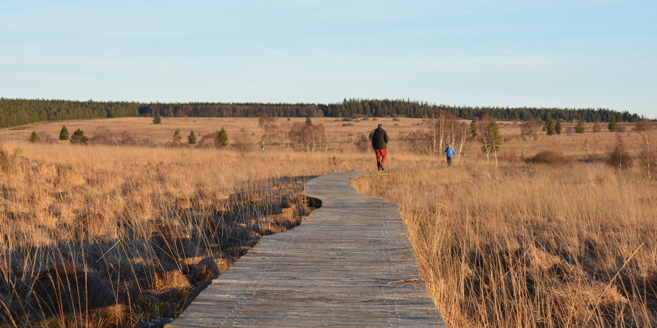 Dit zijn de 5 Wandelroutes van het Jaar; Venntrilogie