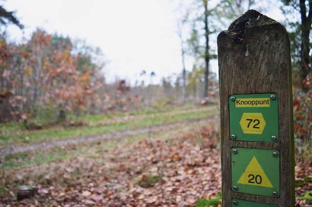 Knooppunten Chaamse Bossen