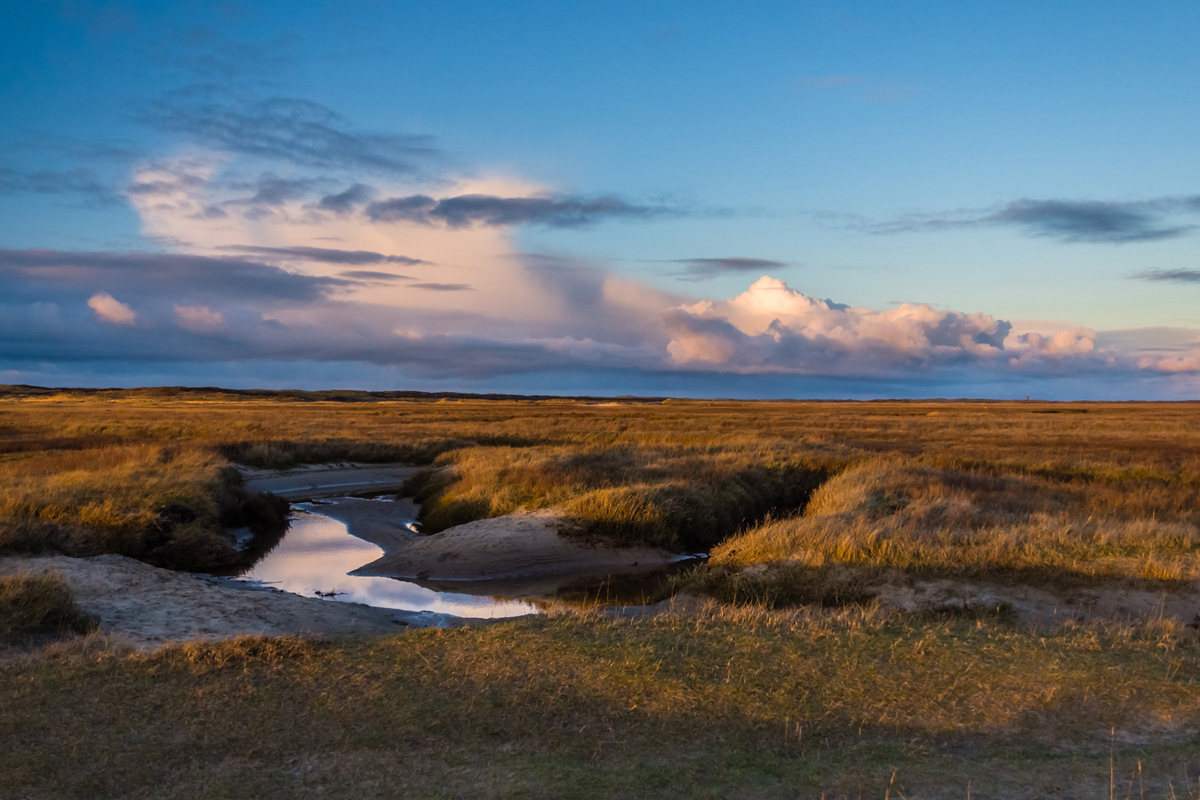 Wandelroutes op de Waddeneilanden Streekpad WaddenWandelen: Texel, de Slufter