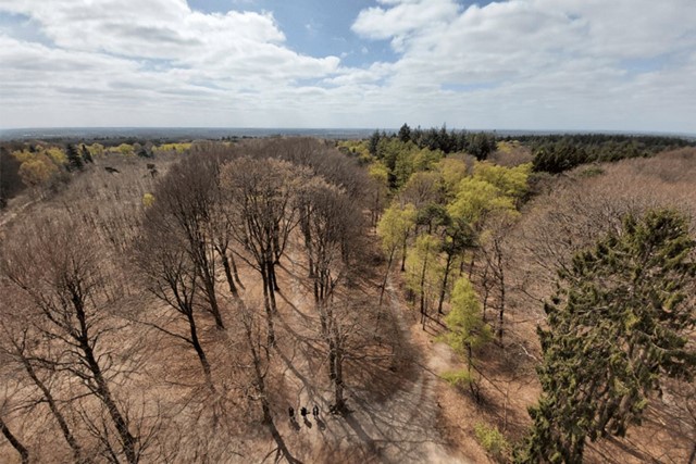 Wandelvakantie Utrecht mooiste wandelreizen Nederland