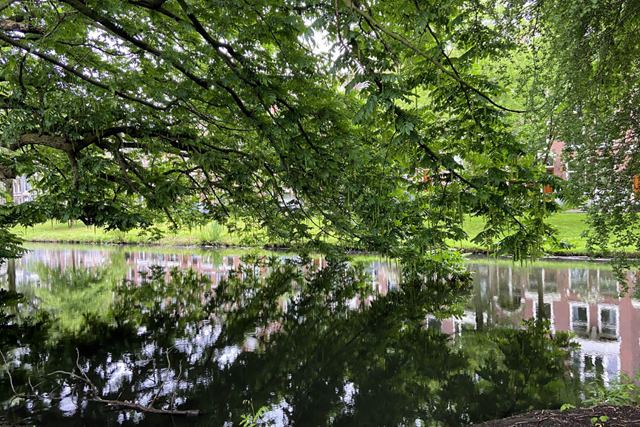 Tussen Stad En Groen Wandelen In Rotterdam: Spoortuin Rotterdam