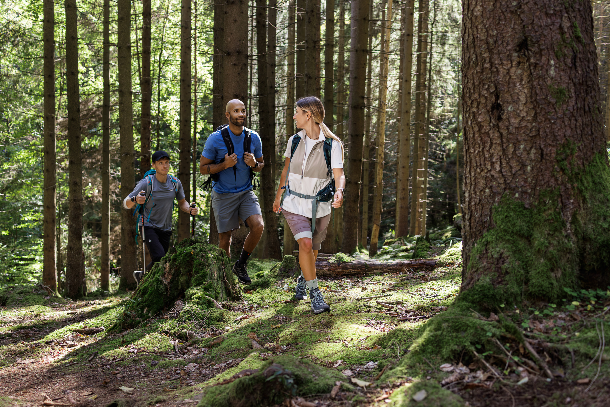 Jonge hikers in een bos