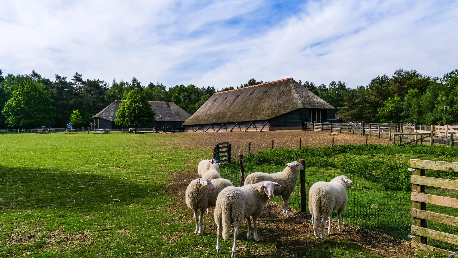 Boswachterspad Veluwe Cultuurroute 'T Leesten