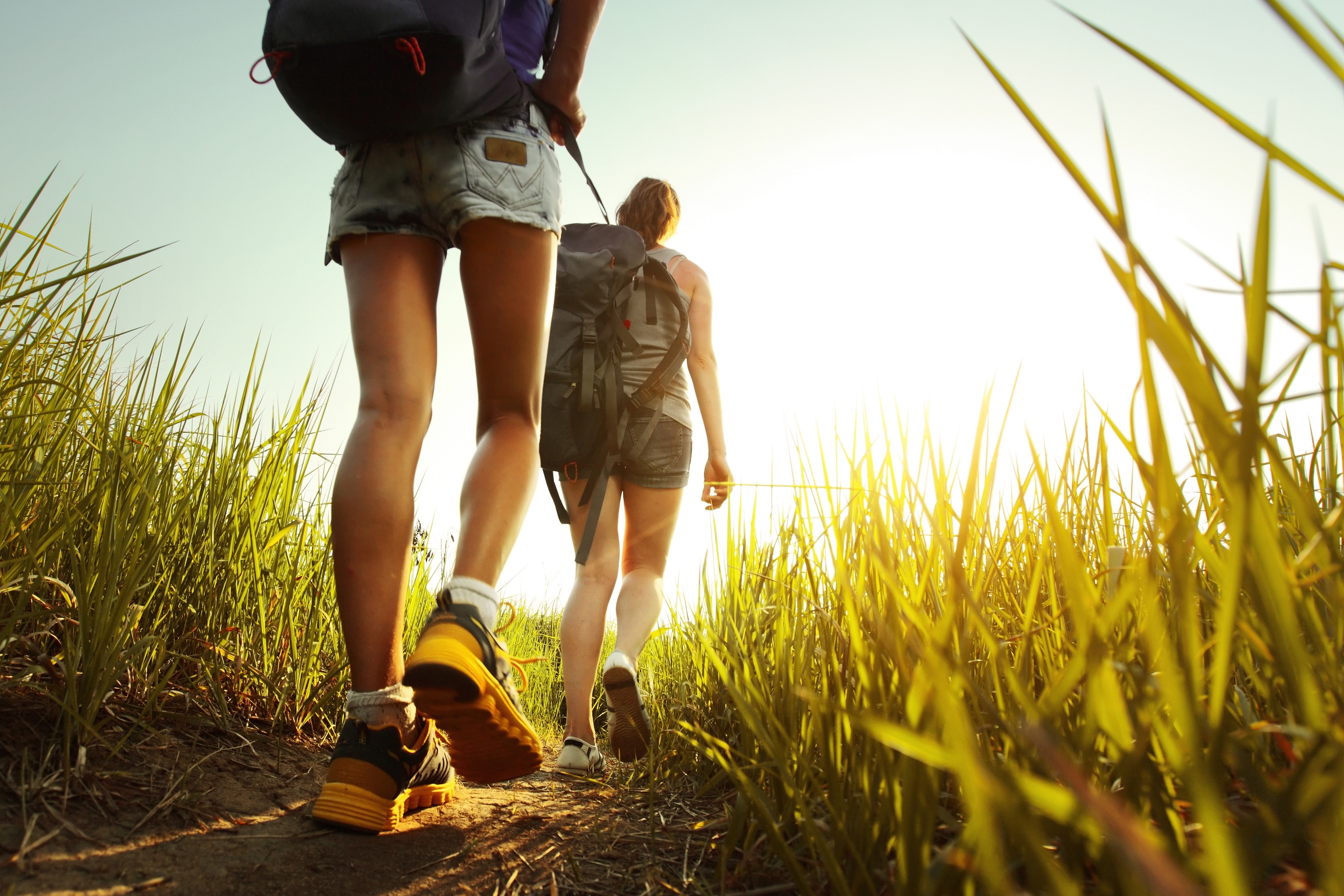 Wandel geest schoenen cheap