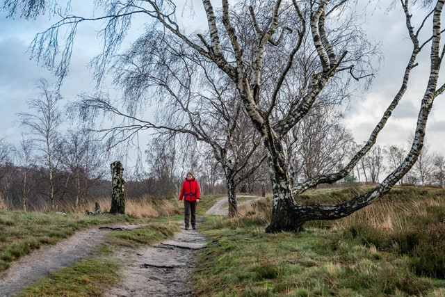 Wandelen in de ijstijd Landgoed De Hamert