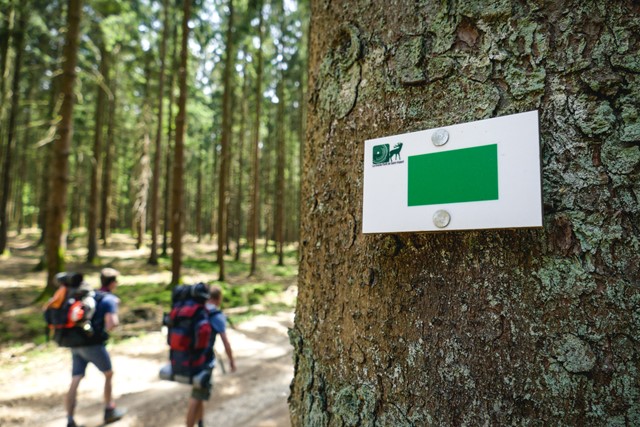 Wandelen in Wallonie en de Belgische Ardennen