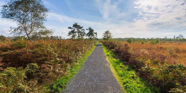 Wandelroutes In Noord Brabant Groote Peel