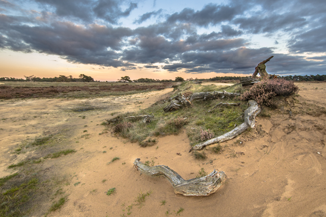 Wandelen Hoge Veluwe 5X De Mooiste Wandelroutes Hoenderloo