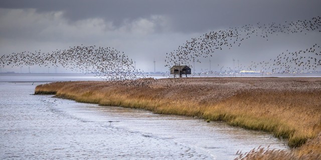 Afbeelding Nationaal Park Lauwersmeer