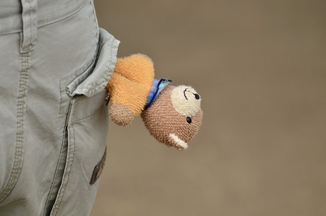 Knuffel hangt uit zak van wandelbroek