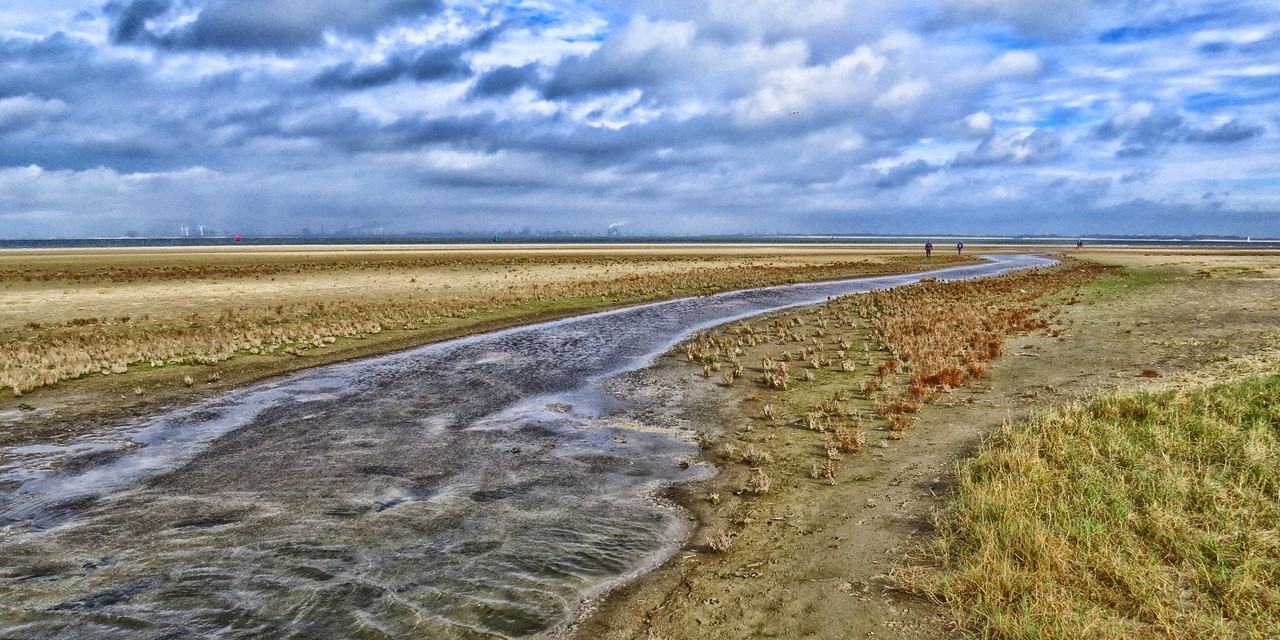 afbeelding van het waterrijke landschap in de Kwade Hoek.