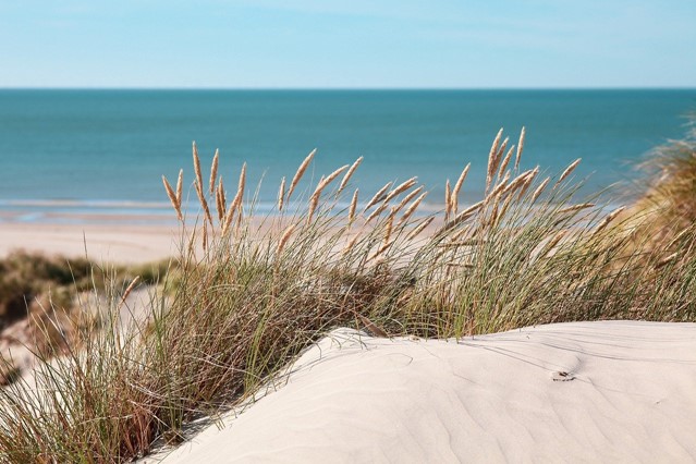 Duinen