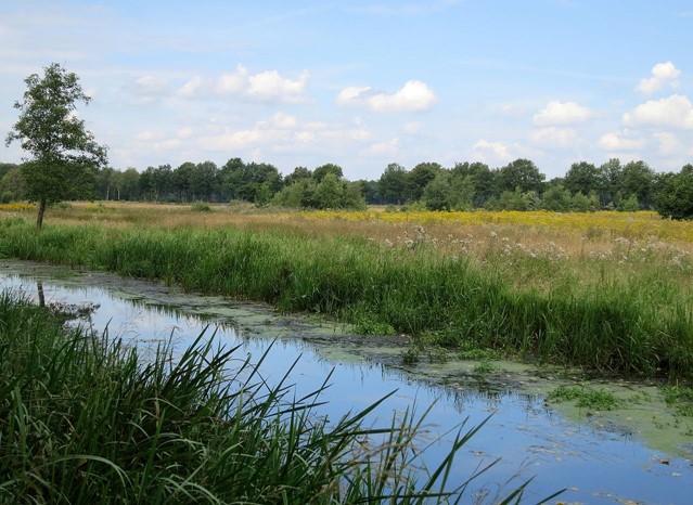 Kempen-Broek