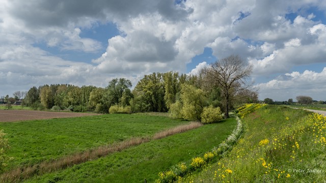 Dijk Engelenburgerpad 