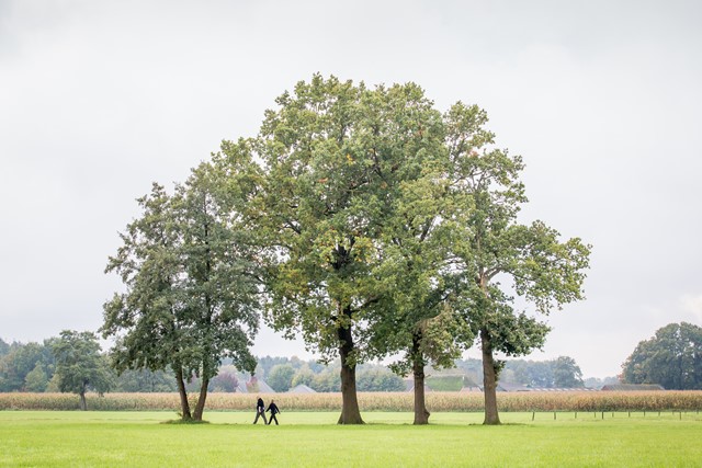 Sallandse Wandel4daagse (5)