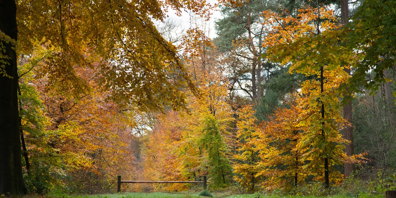 Hier Moet Je Rekening Mee Houden Tijdens Wandelen In De Herfst