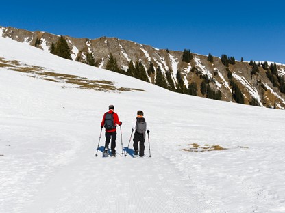 Sneeuwschoenwandelen Voor Beginners