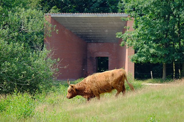 Folly 'De stal' in Boswachterij Dorst