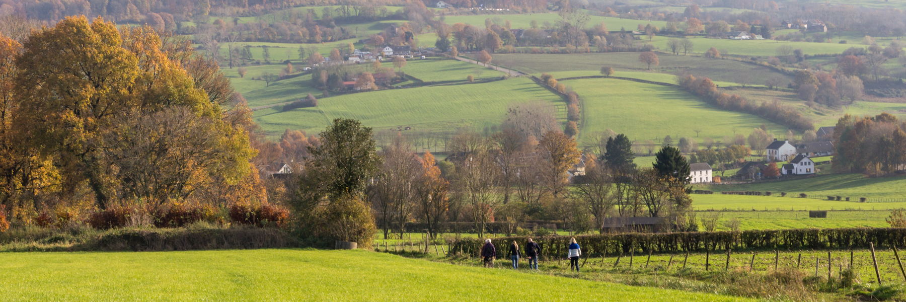 Afbeelding coulisselandschap Limburg