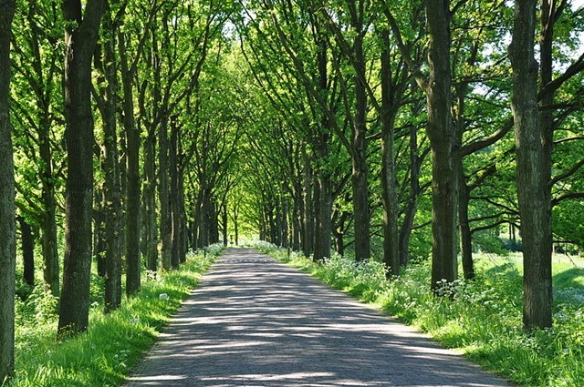 Afbeelding 3 | De favoriete wandelroutes van...Erik Broersen