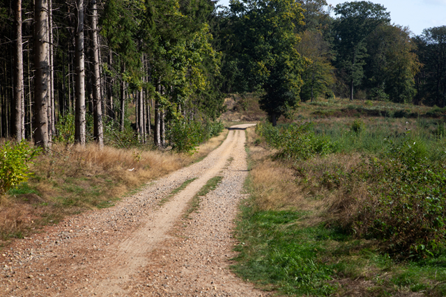 Wandelroute Nationaal Park De Meinweg Meinvennen Terrassenlandschap