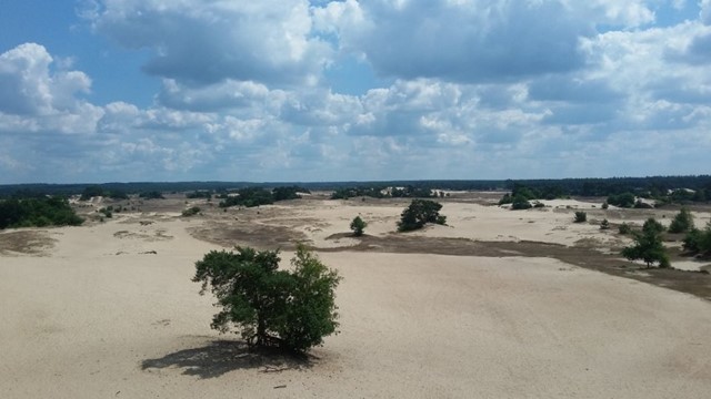 Kootwijkerzand