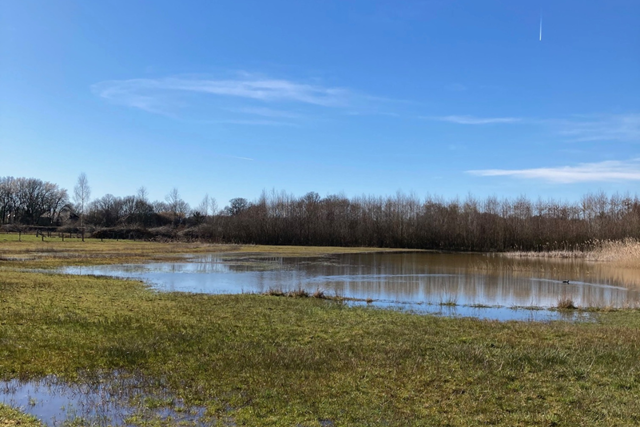 Pieterpad Etappe 14 Vorden Bosrijk
