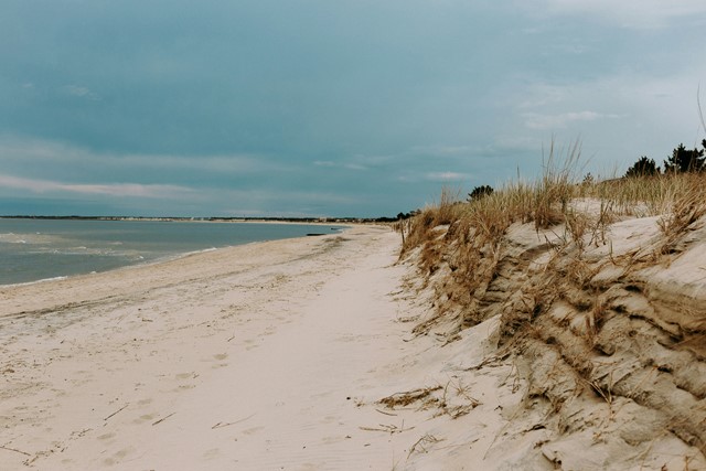 Bryn Gibson 1Oxvcoqwvo0 Unsplash