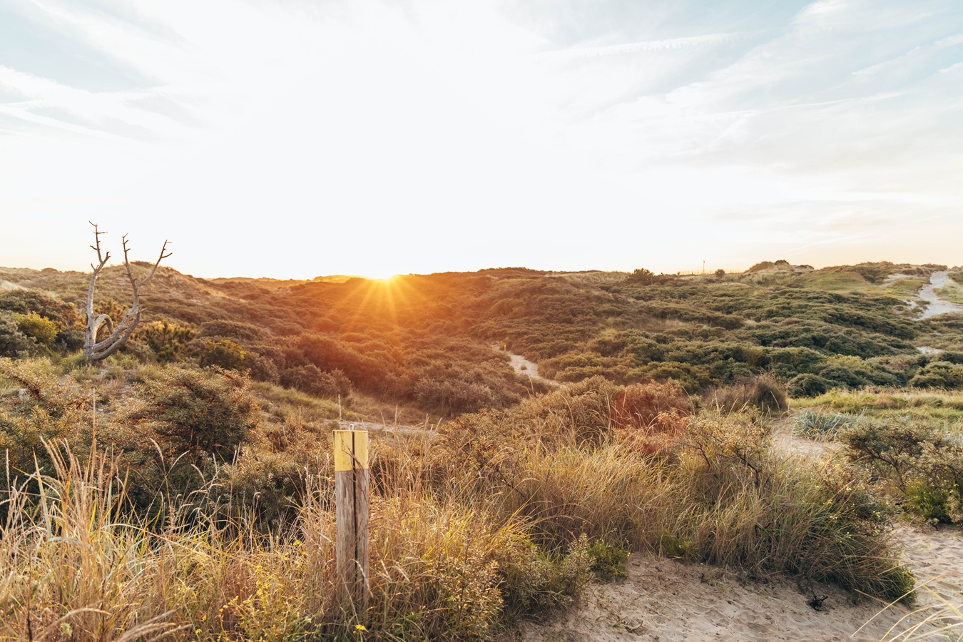 Duinen bij Zandvoort, Foto: @Mascha Wandeldingen.nl