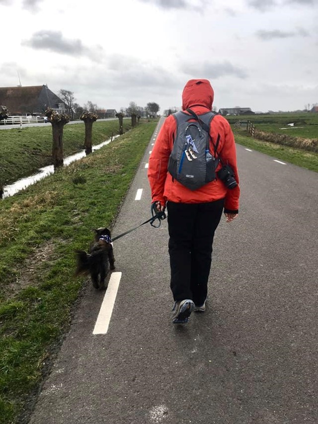 Marleen Veenstra en haar hondje Nori lopen de derde etappe van het Elfstedenpad van Sneek naar Balk
