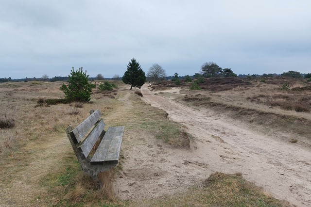 afbeelding van een wandelbankje in het Aekingerzand.