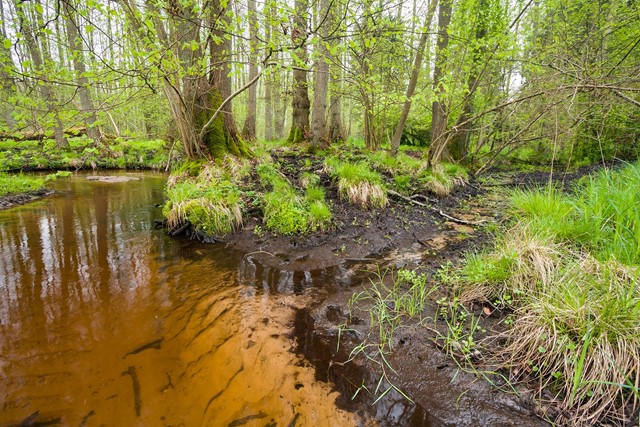 Meiweg Roode Beek Bob Luijks