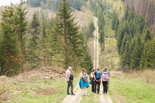 Harzer Grenzweg in Duitsland.
