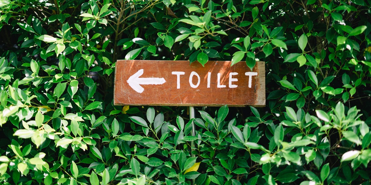 afbeelding van een bordje dat wijst naar een toilet.
