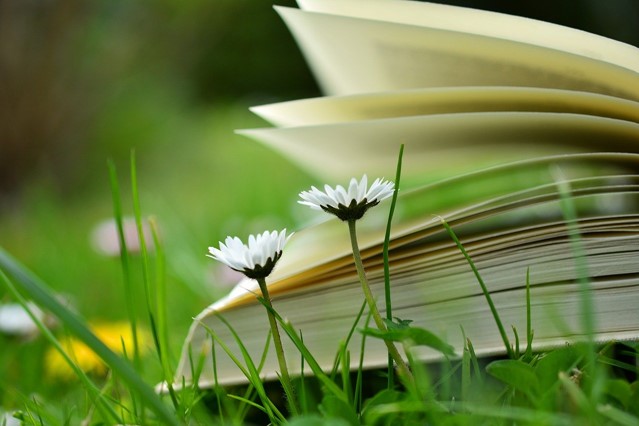 Couperus tot Siebelink | Literatuurmuseum | Bloem | Boek | Literatuur