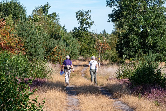 OLAT Wandeldagen (11)