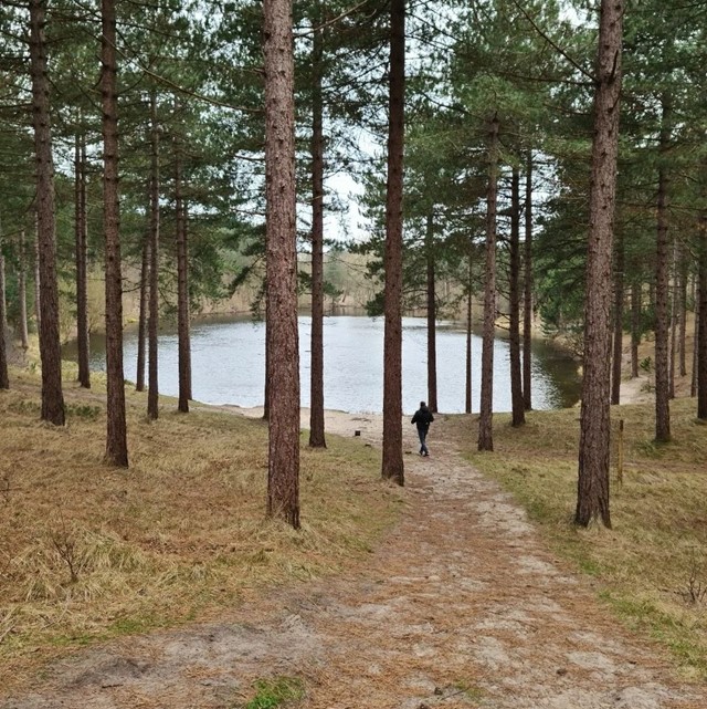Boswachterij Westershouwen